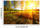 Beautiful landscape with summer forest and sunset Wall Mural