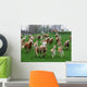 Haflinger Wall Mural