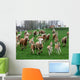 Haflinger Wall Mural