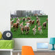Haflinger Wall Mural