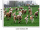 Haflinger Wall Mural