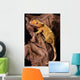 Crested gecko on petrified wood Wall Mural
