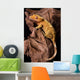 Crested gecko on petrified wood Wall Mural