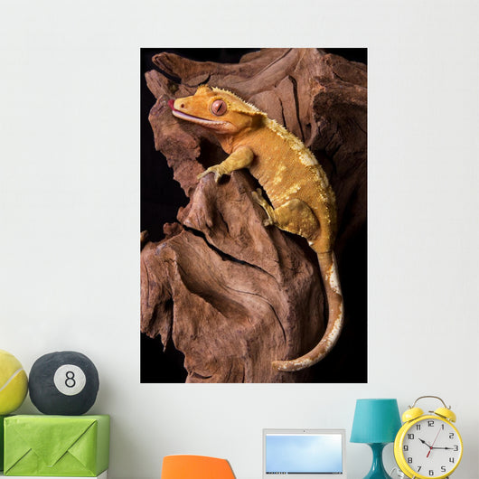 Crested gecko on petrified wood Wall Mural