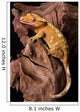 Crested gecko on petrified wood Wall Mural
