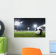 Soccer Ball in Stadium at Night Wall Mural