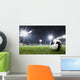 Soccer Ball in Stadium at Night Wall Mural