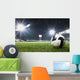 Soccer Ball in Stadium at Night Wall Mural