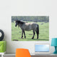 Wild Horse Wall Mural