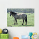 Wild Horse Wall Mural