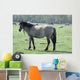 Wild Horse Wall Mural