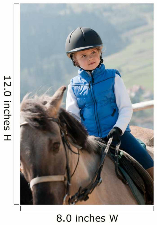 Horse Riding Wall Mural