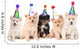 Five Pomeranian Puppies Celebrating a Birthday Wall Decal