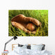 Old baseball glove Wall Mural