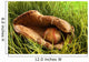 Old baseball glove Wall Mural