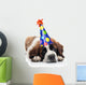 Saint Bernard Wearing Polka