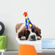 Saint Bernard Wearing Polka