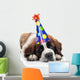 Saint Bernard Wearing Polka