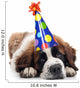 Saint Bernard Wearing Polka