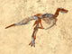 Tyrannosaurus Rex Mit Rostigen Wall Mural