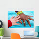 Contatto Di Vita Wall Mural