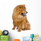 Chow Chow Dog White Wall Decal