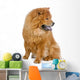 Chow Chow Dog White Wall Decal