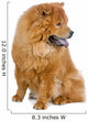 Chow Chow Dog White Wall Decal