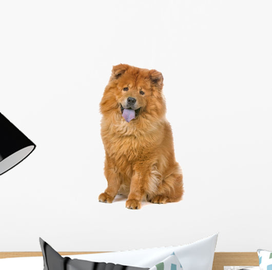 Chow Chow Dog Sticking Out Tongue Wall Decal
