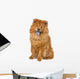 Chow Chow Dog Sticking Out Tongue Wall Decal