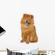 Chow Chow Dog Sticking Out Tongue Wall Decal
