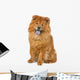 Chow Chow Dog Sticking Out Tongue Wall Decal