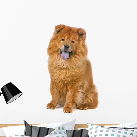 Chow Chow Dog Sticking Out Tongue Wall Decal