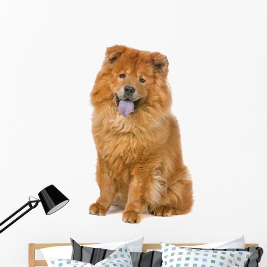 Chow Chow Dog Sticking Out Tongue Wall Decal