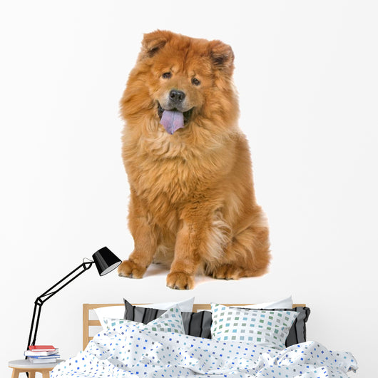 Chow Chow Dog Sticking Out Tongue Wall Decal