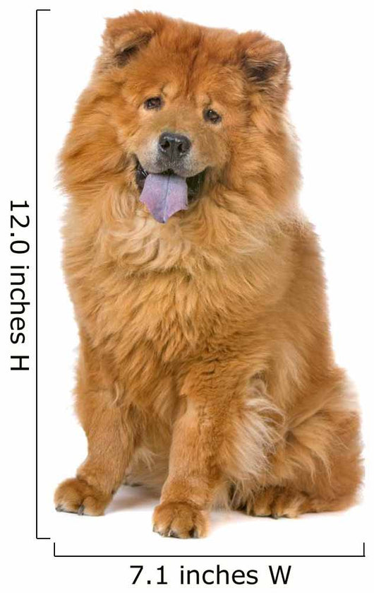 Chow Chow Dog Sticking Out Tongue Wall Decal