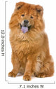 Chow Chow Dog Sticking Out Tongue Wall Decal