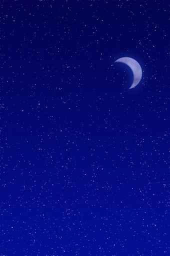 Crescent Moon Wall Decal