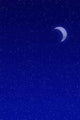 Crescent Moon Wall Decal
