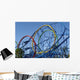 Roller Coaster Wall Mural