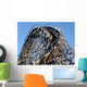 Roller Coaster Wall Mural