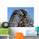 Roller Coaster Wall Mural