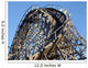 Roller Coaster Wall Mural