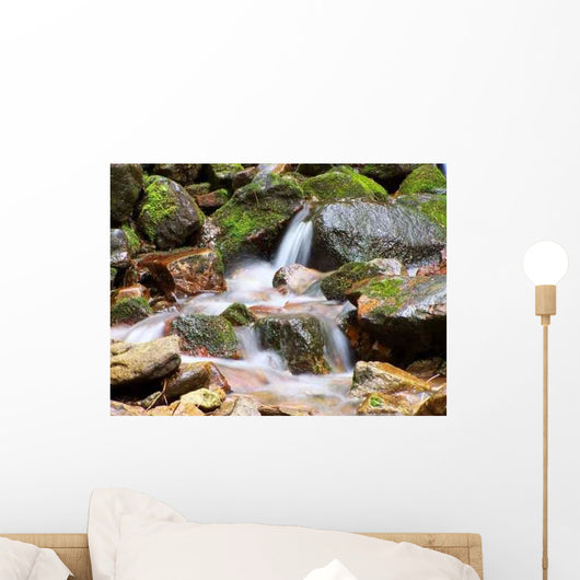 Spring Wall Decal Design 8