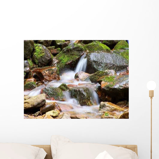 Spring Wall Decal Design 8