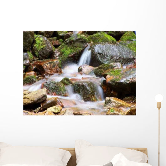 Spring Wall Decal Design 8