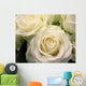 Rose Wall Mural