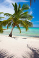 Tropical Beach Wall Mural