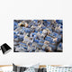 Jodhpur Wall Decal