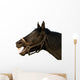 Head of a horse on the isolated background Wall Decal